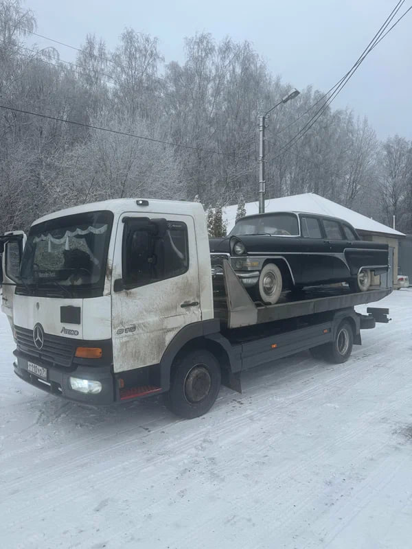 Чайка